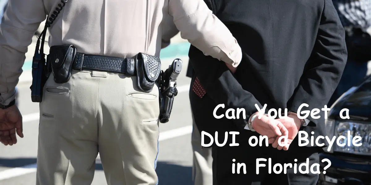 can you get a DUI on a bicycle in Florida