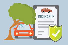 auto insurance for bicycles
