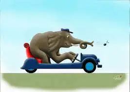 elephant ride a bicycle